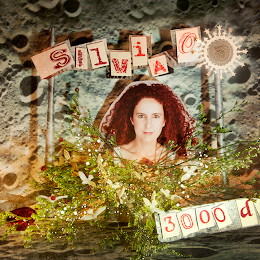 silviao Foto